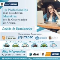 Profesionales araucanos cursarán posgrado en modalidad de Maestría